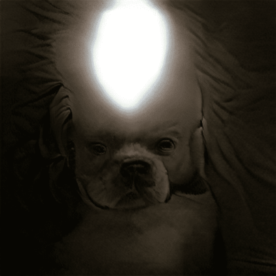 The man with the lightbulb head
