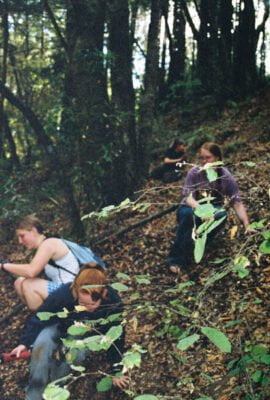 0586282-R1-022-9A.jpg, A 'UC Santa Cruz Porter Caves & the Hell Hole' image with ID# 7224