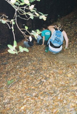 0586282-R1-024-10A.jpg, A 'UC Santa Cruz Porter Caves & the Hell Hole' image with ID# 7225