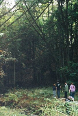 0586282-R1-028-12A.jpg, A 'UC Santa Cruz Porter Caves & the Hell Hole' image with ID# 7227