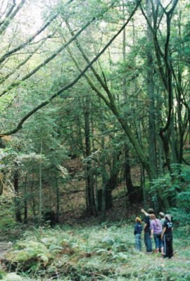 0586282-R1-030-13A.jpg, A 'UC Santa Cruz Porter Caves & the Hell Hole' image with ID# 7228