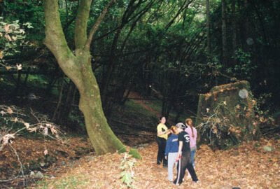 0586282-R1-034-15A.jpg, A 'UC Santa Cruz Porter Caves & the Hell Hole' image with ID# 7230