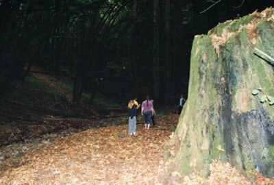 0586282-R1-038-17A.jpg, A 'UC Santa Cruz Porter Caves & the Hell Hole' image with ID# 7232