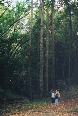 0586282-R1-040-18A.jpg, A 'UC Santa Cruz Porter Caves & the Hell Hole' image with ID# 7233