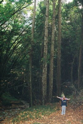 0586282-R1-042-19A.jpg, A 'UC Santa Cruz Porter Caves & the Hell Hole' image with ID# 7234