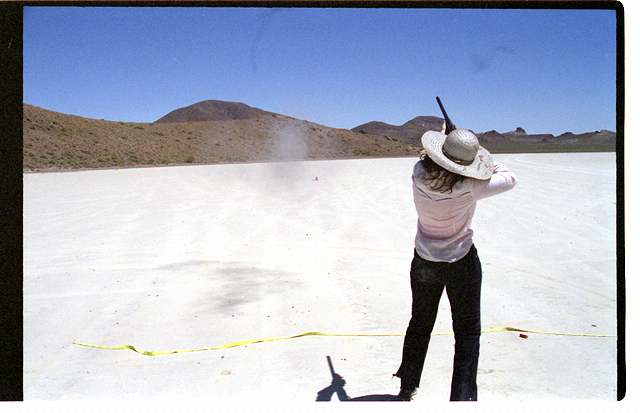 Danielle decides to aim for a bird instead