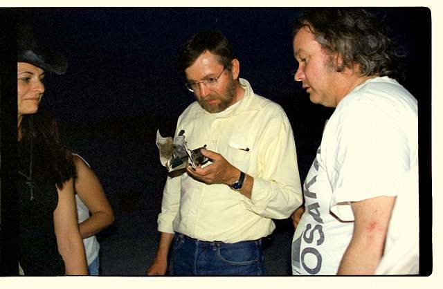 Harry and donald contemplate the schrapnel, gwen looks on amused. Harry's expression says it all.