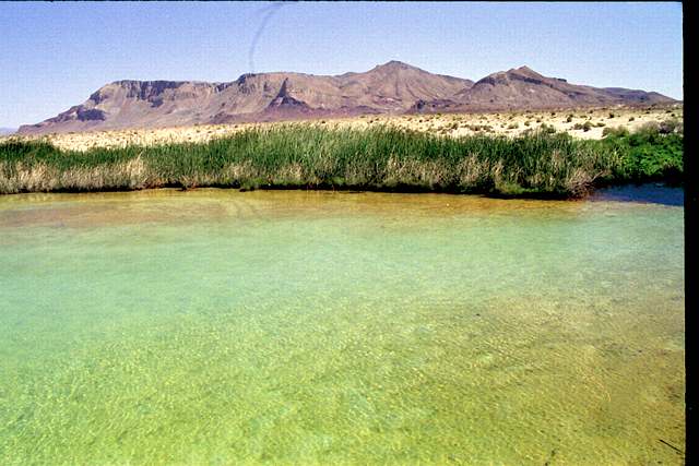 Scary, scary black rock springs. No, really: beautiful, but we were strongly cautioned that these waters are hot enough to kill you quickly. People have found out the unfortunate way.