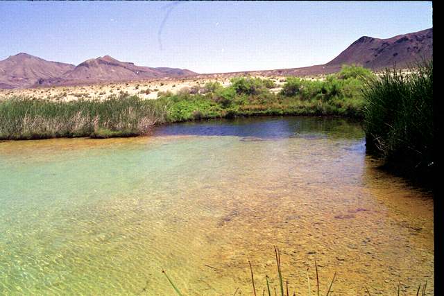 Scary, scary black rock springs