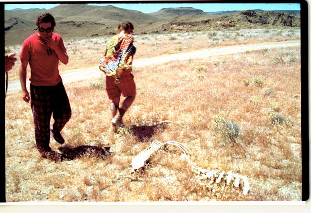 Joe, allie, and ex-cow