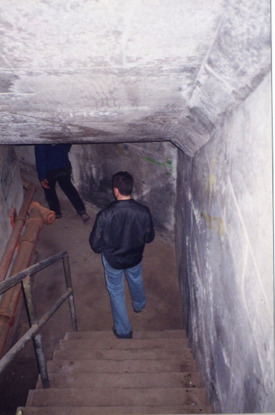 The stairs down from the doorway.