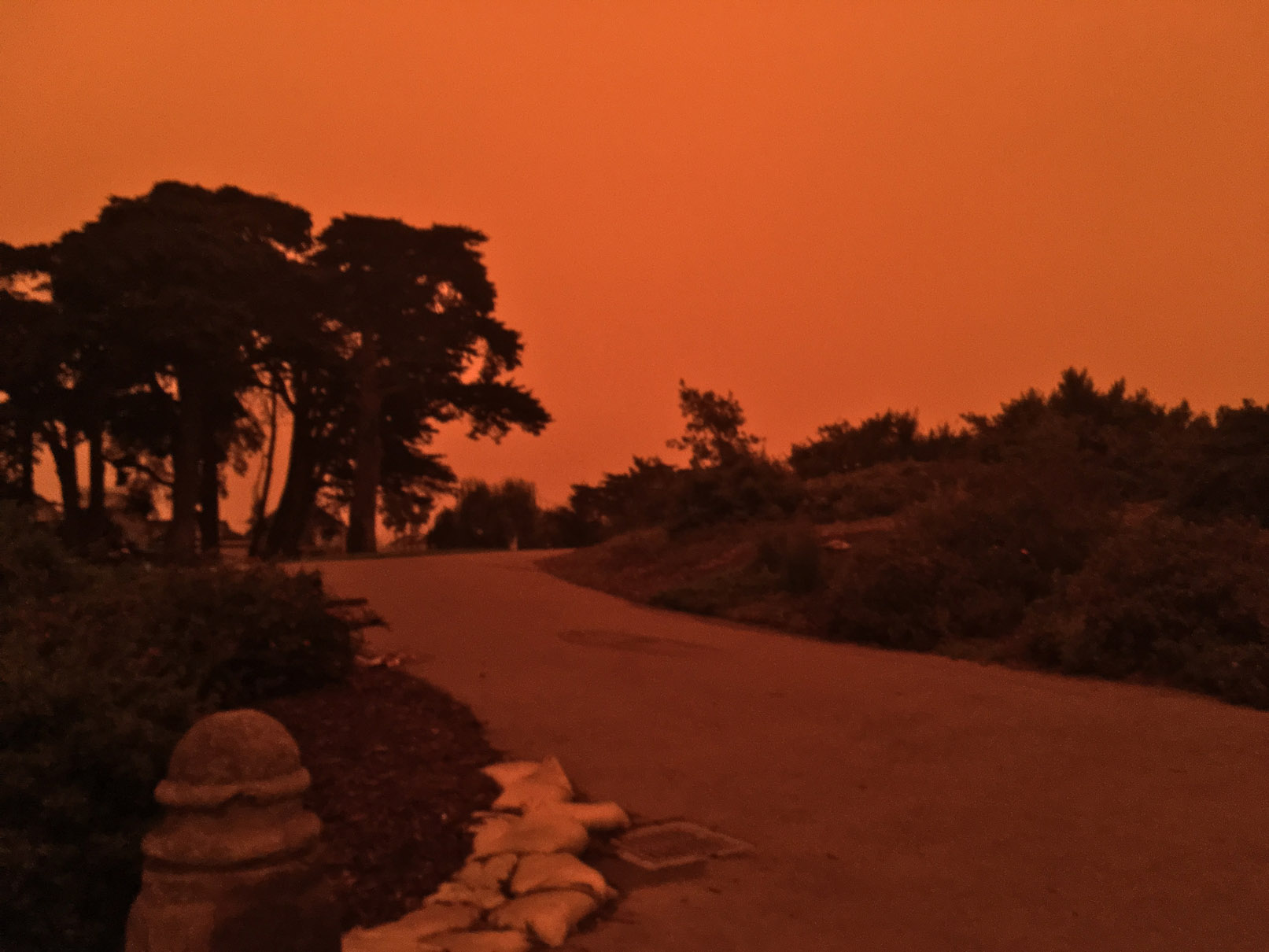 2020-09-09 09.29.53 hdr