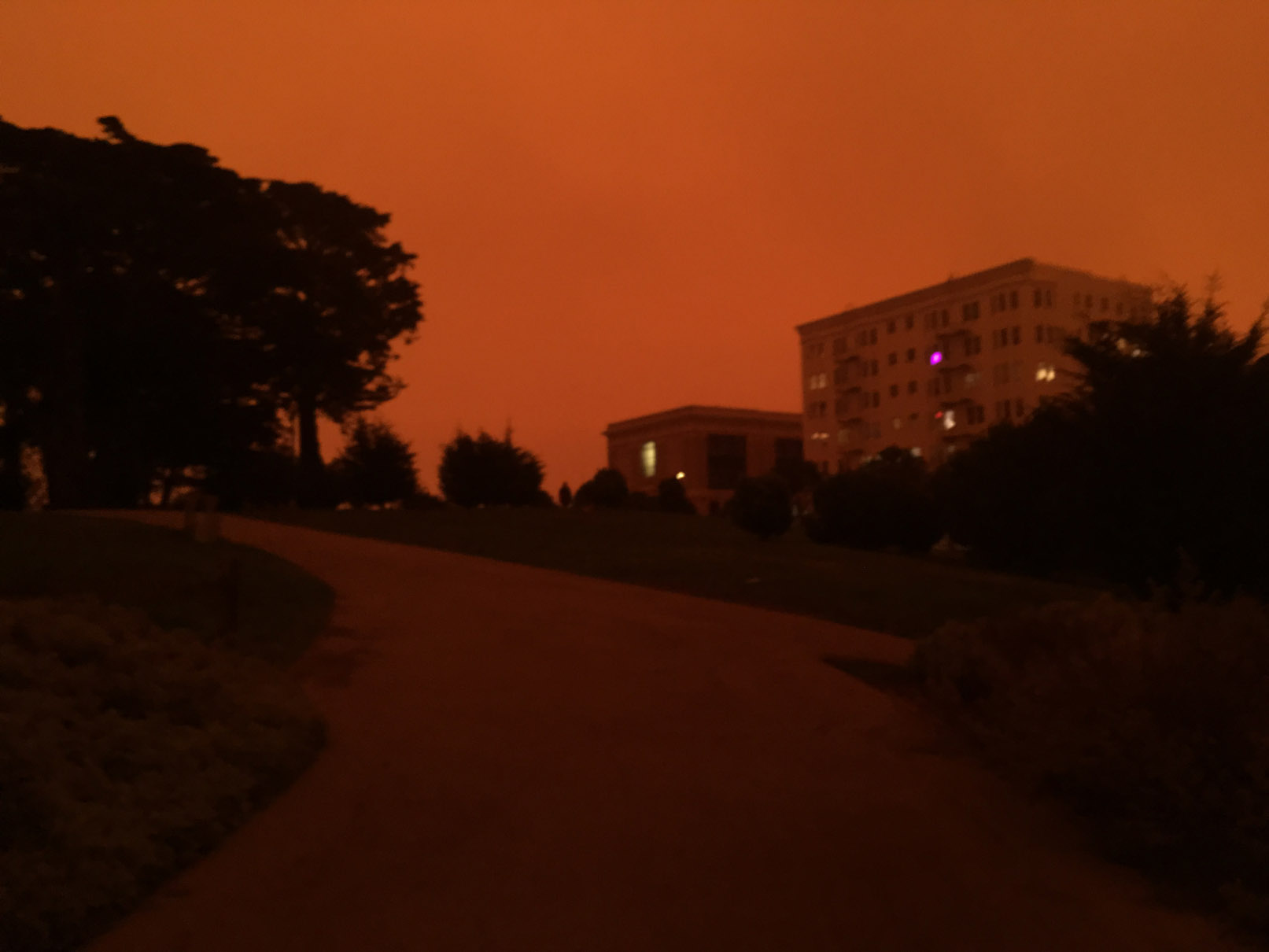 2020-09-09 09.30.38-1