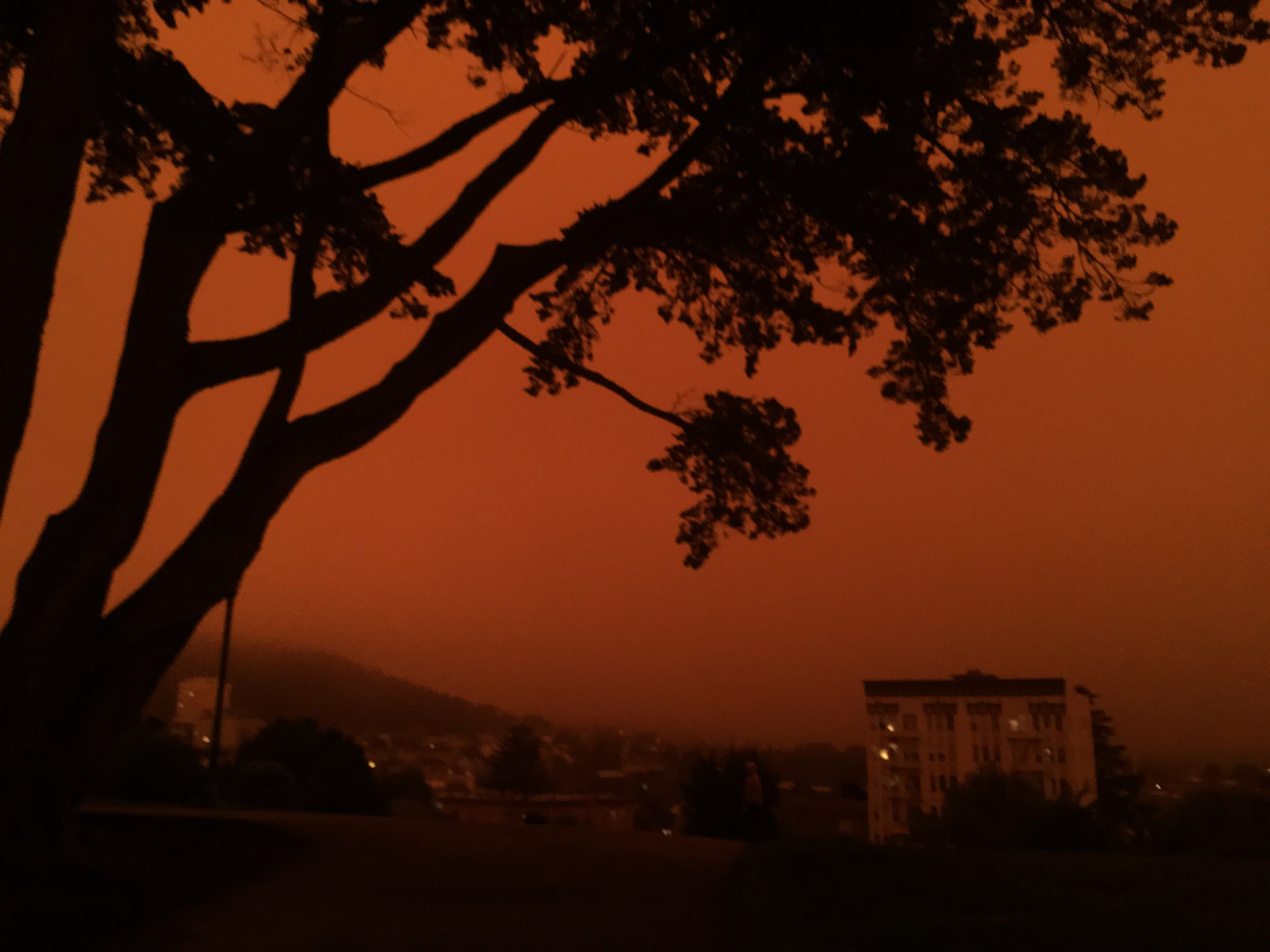 2020-09-09 09.32.17-1