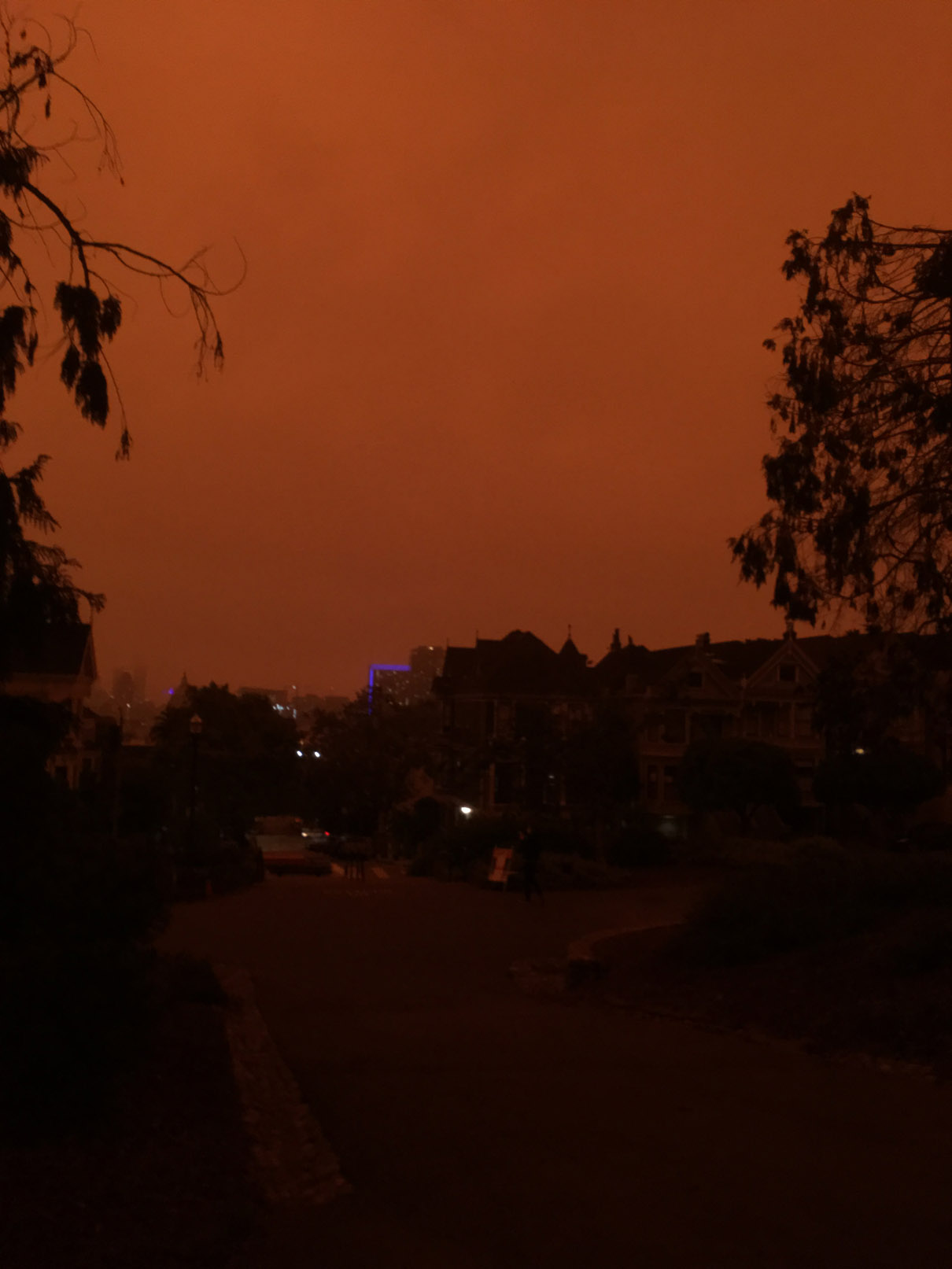 2020-09-09 09.40.42-1