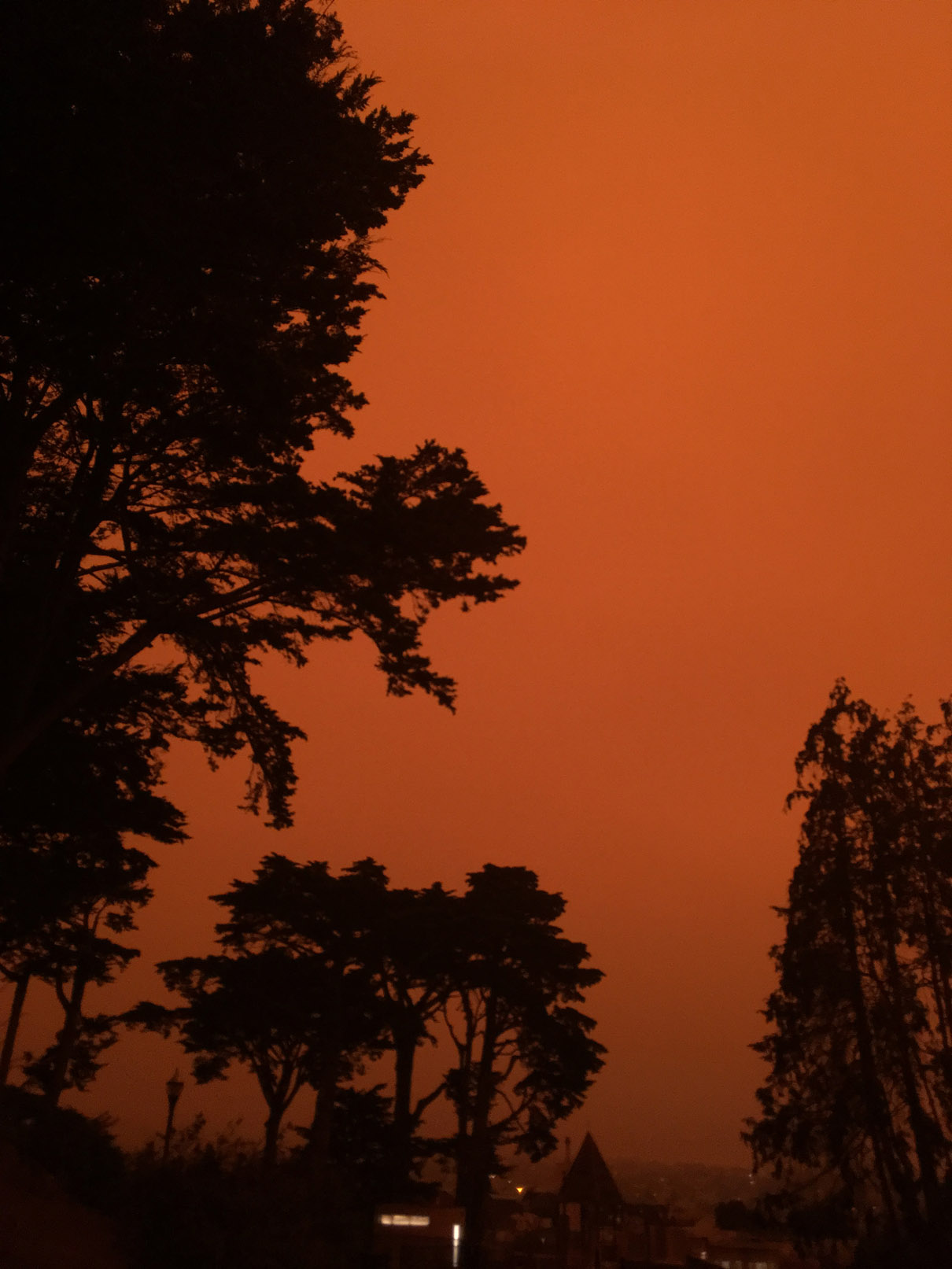 2020-09-09 09.42.57-1