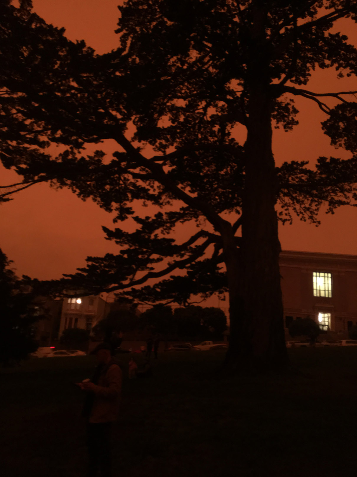 2020-09-09 09.43.41-1