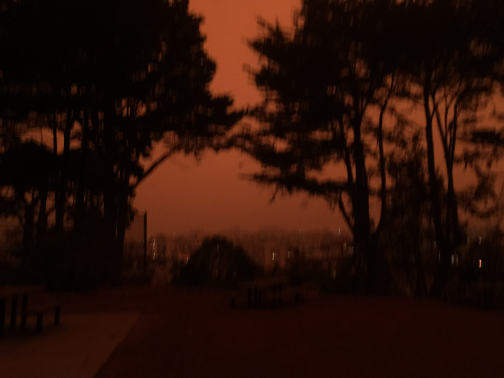 2020-09-09 09.43.52-1