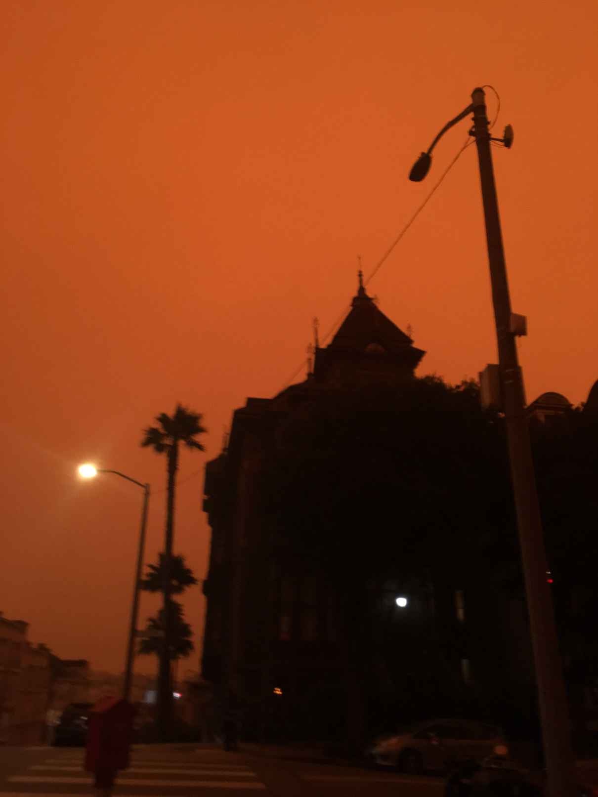 2020-09-09 09.50.45-1