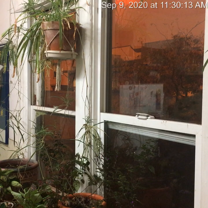 2020-09-09 11-30-13 am